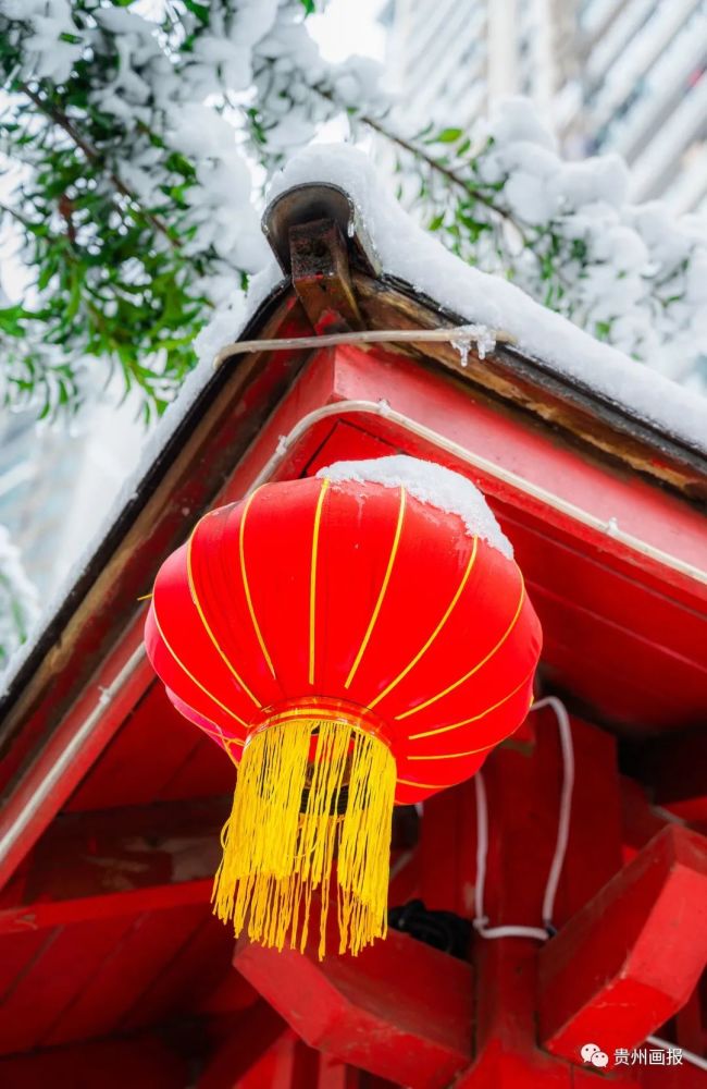 瑞雪兆丰年丨贵州画报祝大家虎年大吉虎虎生威