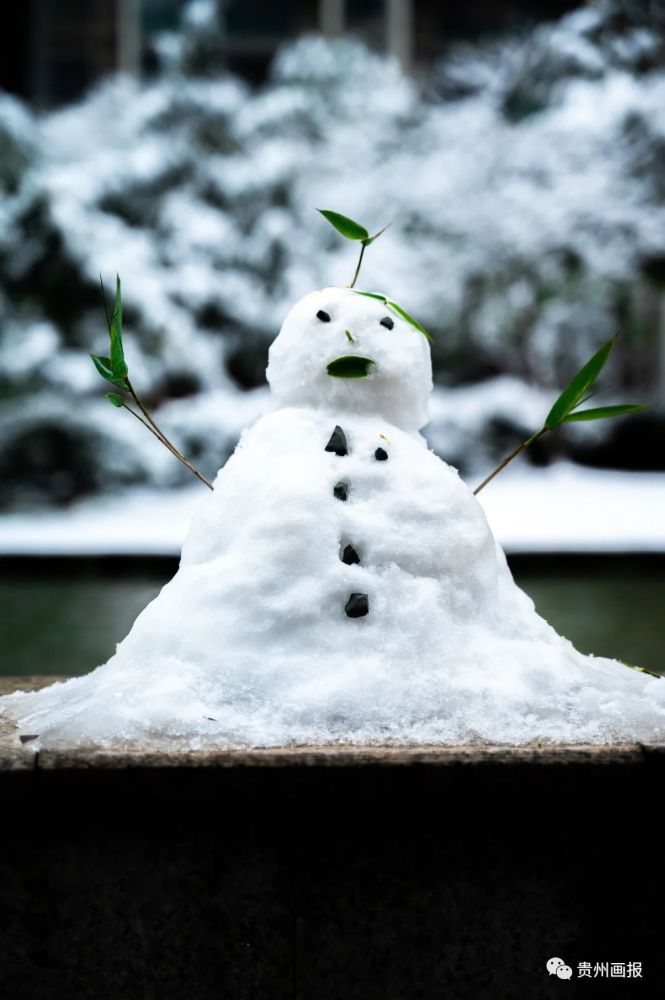 瑞雪兆丰年丨贵州画报祝大家虎年大吉虎虎生威