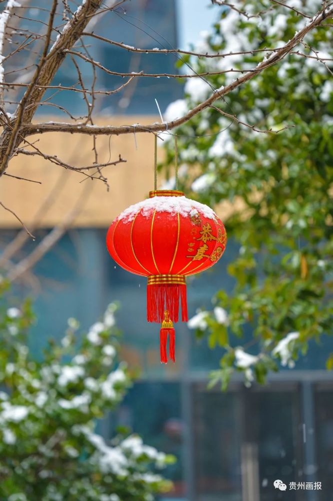 瑞雪兆丰年丨贵州画报祝大家虎年大吉虎虎生威