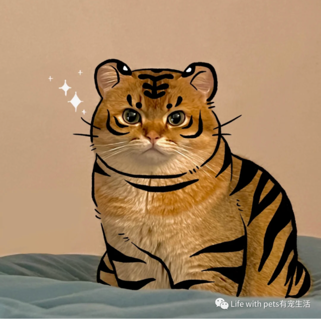 【照猫画虎】谁还不是个小脑斧啦～文末尾福利