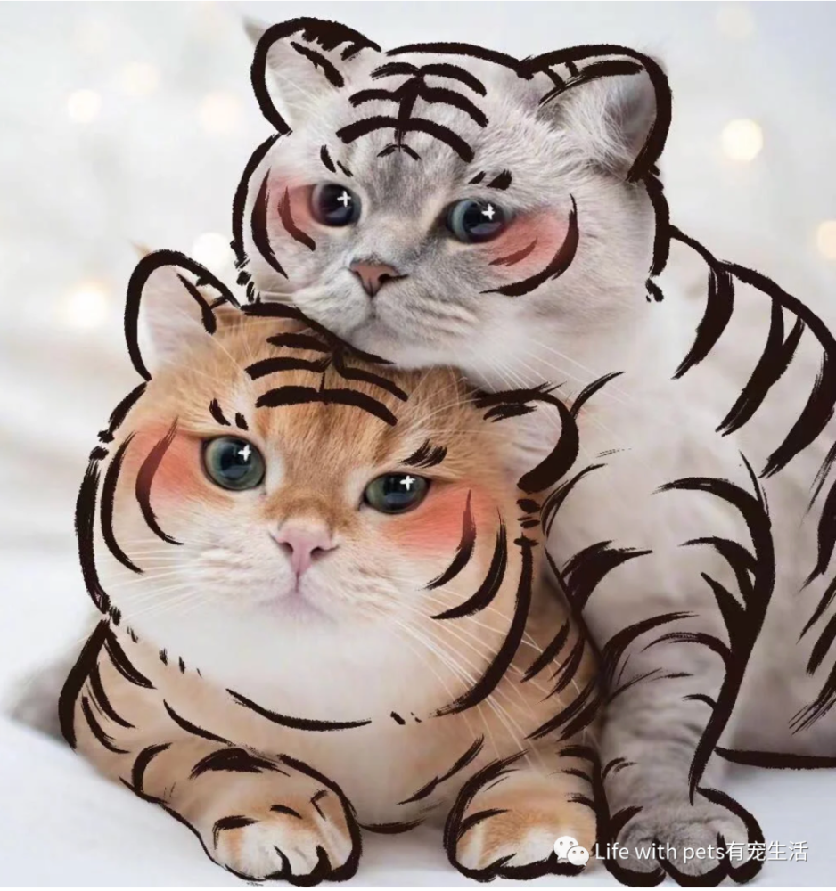 照猫画虎谁还不是个小脑斧啦文末尾福利