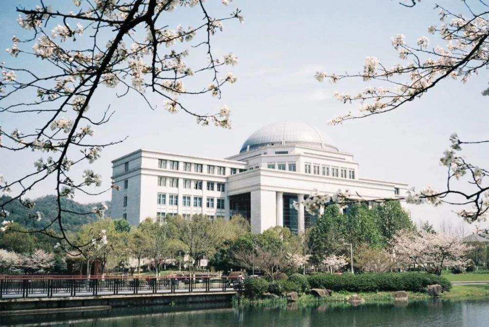 最高降52分浙江这所高校三位一体录取线全方位解析请收藏
