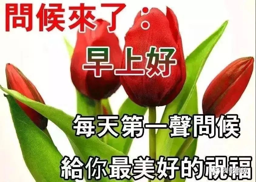 虎年新春祝福早上好短信祝福语录最新版漂亮早上好问候语祝福表情图片