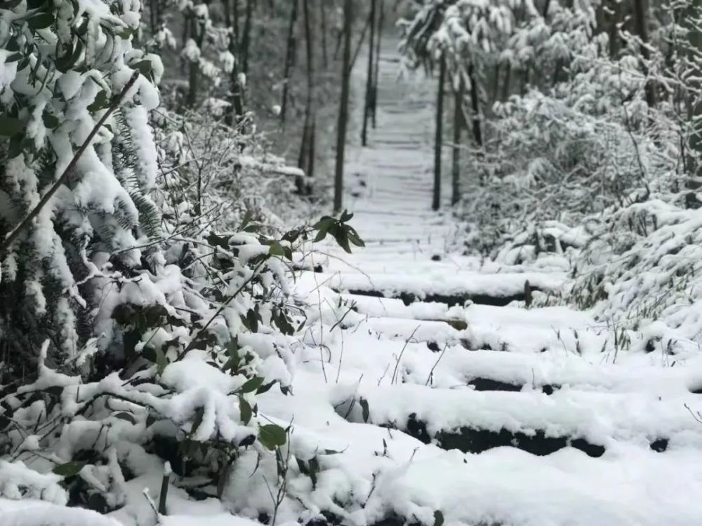 大转折绍兴人做好准备第三波下雪大雨雨夹雪要来了交警发布重要提醒