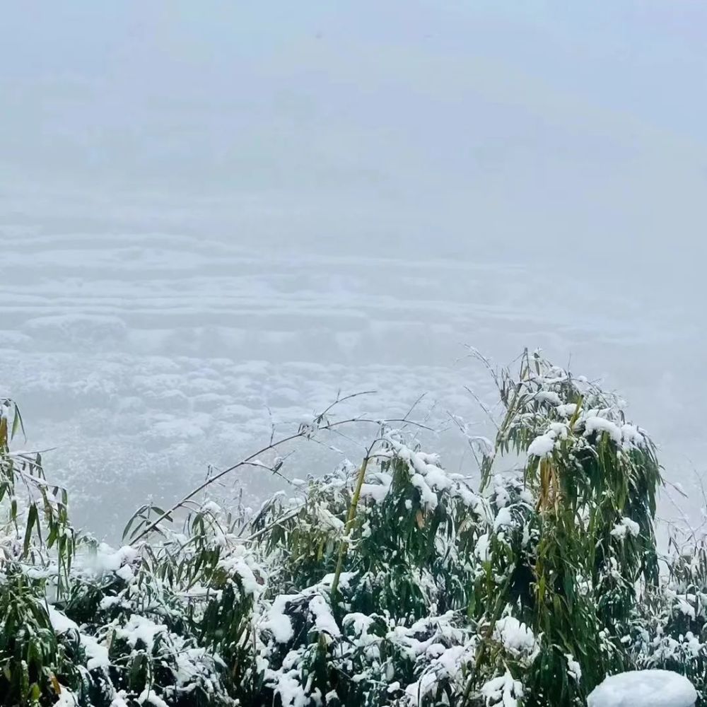 大转折绍兴人做好准备第三波下雪大雨雨夹雪要来了交警发布重要提醒