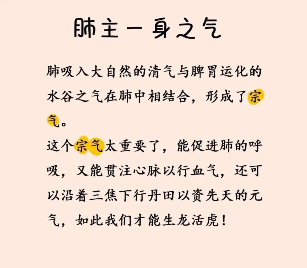 肺即是宰相大人又是娇嫩小公主