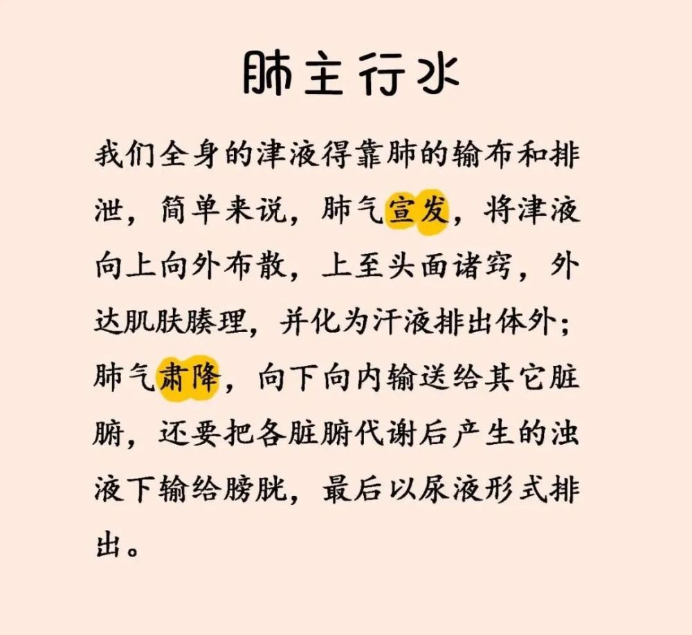 肺即是宰相大人又是娇嫩小公主