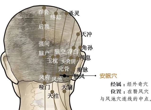 每天炙两边穴位足三里和涌泉穴位_师兄是男神by祎庭沫瞳_神庭穴位