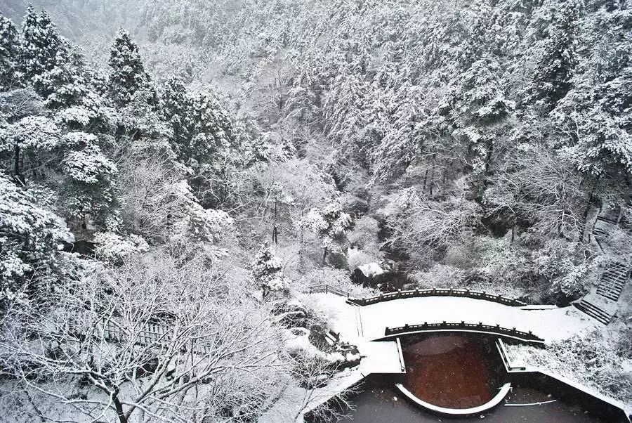 庐山雪苍山负雪千岩一素