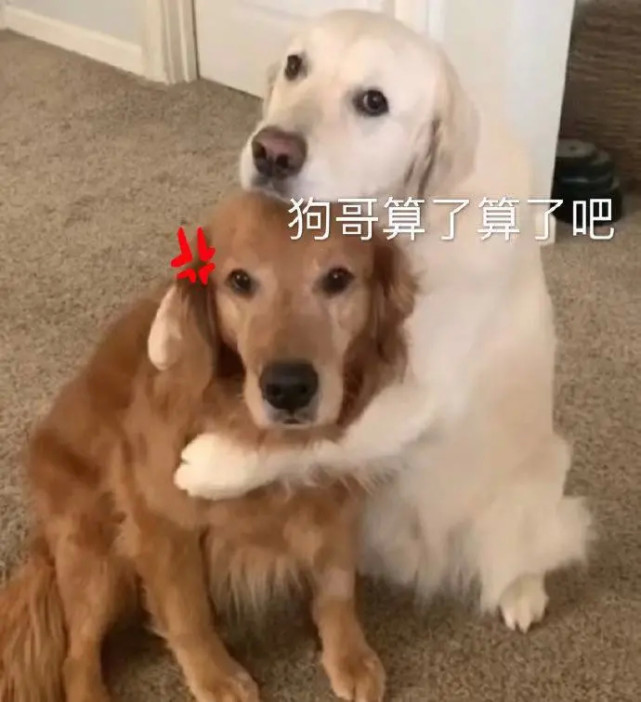 揭秘她青春期美容的真相：比口红更有效的秘诀