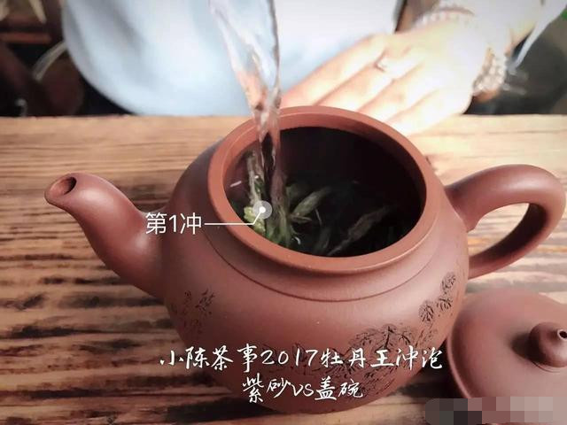 2017白牡丹您喜欢怎么泡？紫砂壶还是盖碗？