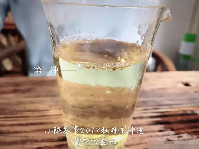 2017白牡丹您喜欢怎么泡？紫砂壶还是盖碗？