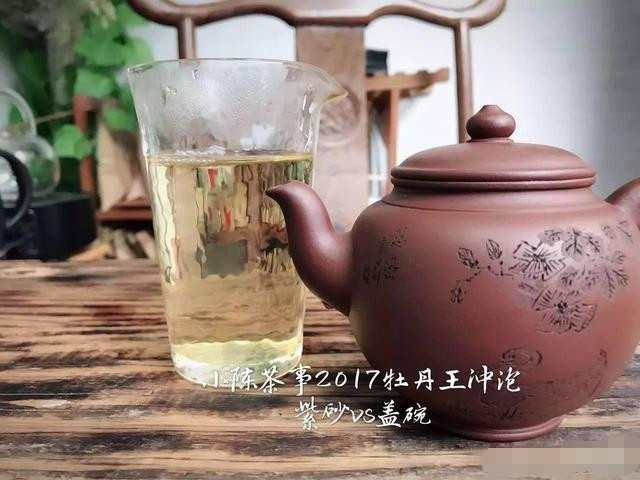 2017白牡丹您喜欢怎么泡？紫砂壶还是盖碗？