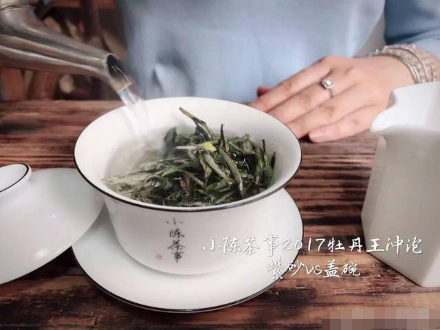 2017白牡丹您喜欢怎么泡？紫砂壶还是盖碗？