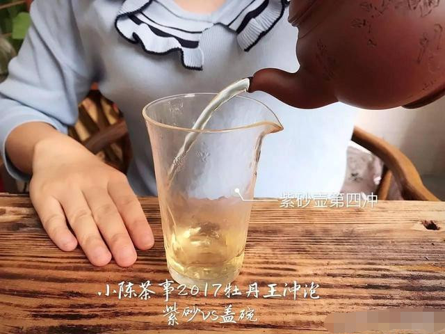 2017白牡丹您喜欢怎么泡？紫砂壶还是盖碗？