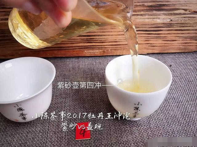 2017白牡丹您喜欢怎么泡？紫砂壶还是盖碗？