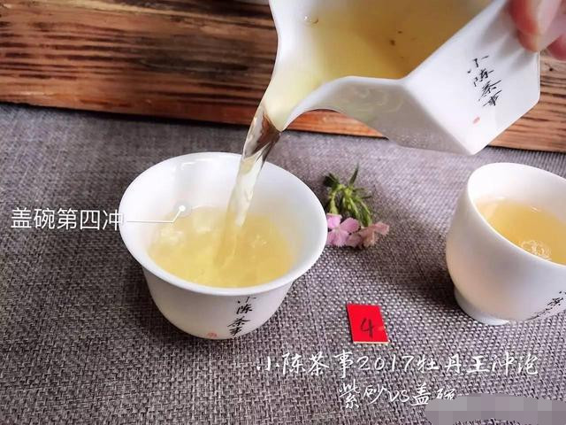 2017白牡丹您喜欢怎么泡？紫砂壶还是盖碗？