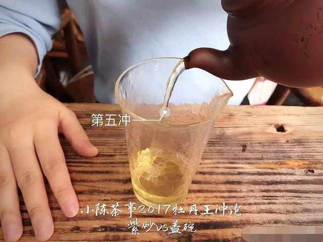 2017白牡丹您喜欢怎么泡？紫砂壶还是盖碗？