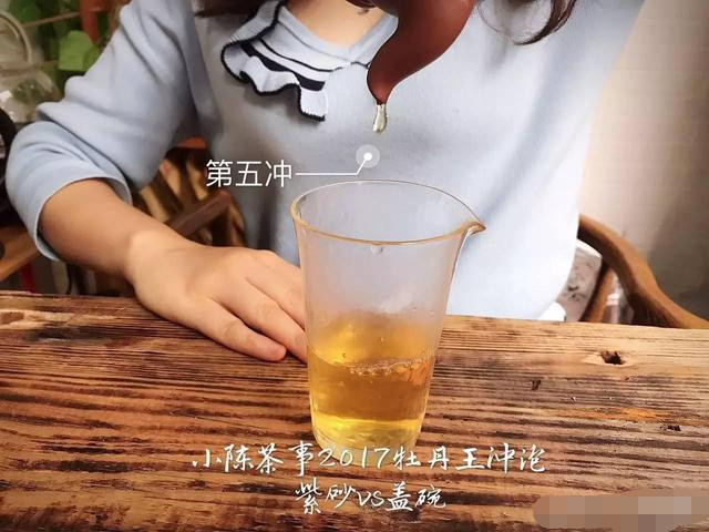 2017白牡丹您喜欢怎么泡？紫砂壶还是盖碗？