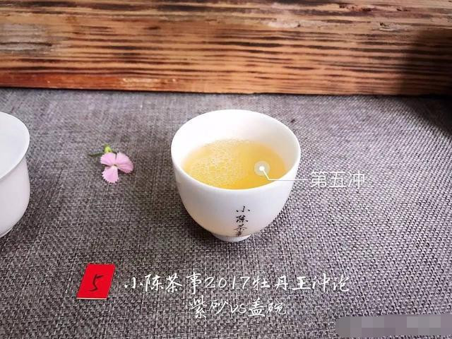 2017白牡丹您喜欢怎么泡？紫砂壶还是盖碗？