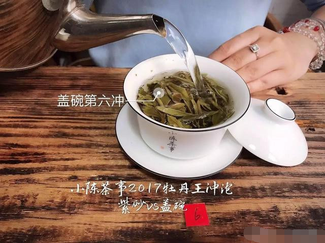 2017白牡丹您喜欢怎么泡？紫砂壶还是盖碗？