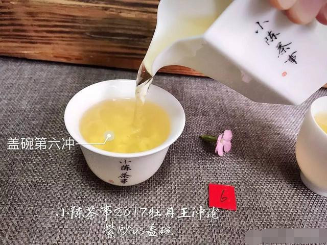 2017白牡丹您喜欢怎么泡？紫砂壶还是盖碗？