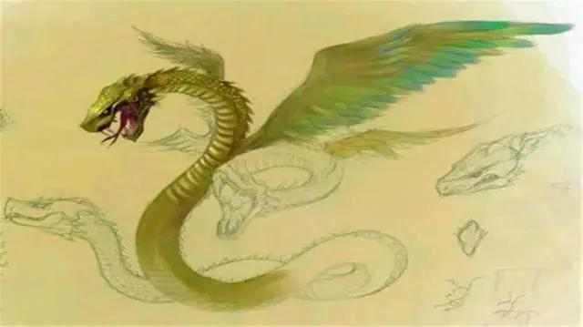 赤蛟绥,黄华盖,露夜零,昼掩盖.