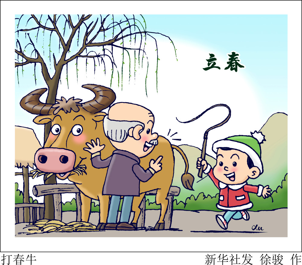 图表漫画二十四节气立春打春牛