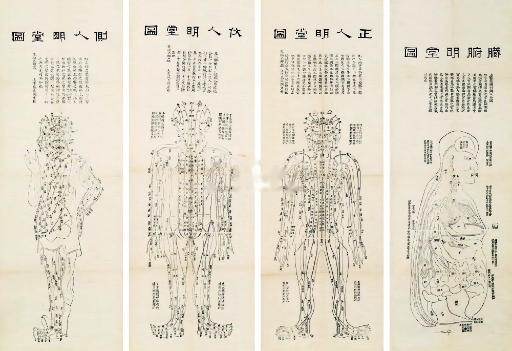 干货∣药王膏肓灸匠心独具三大穴配伍缺一不可让病痛不入膏肓