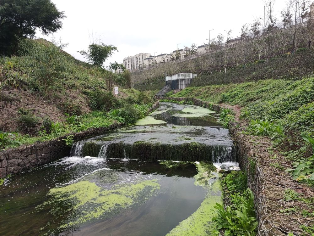 重庆渝北城市小公园有山有水环境很美企业挂名名字别扭