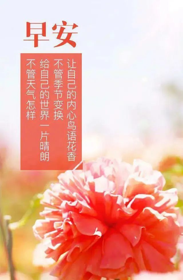 大年初四早上好想你念你祝福你虎年清晨的第一声问候送给你