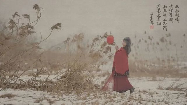 伊人娇媚,芦花飞雪