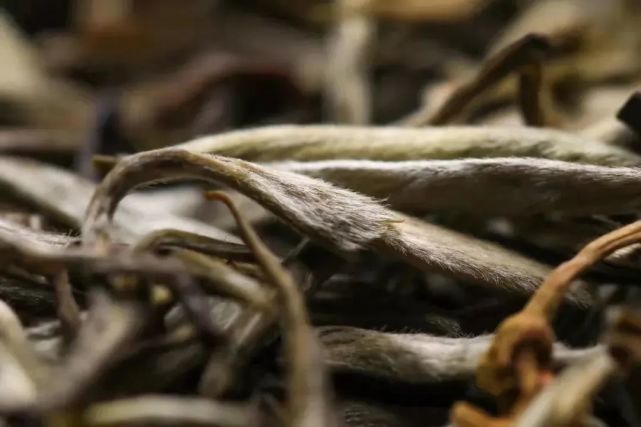足,茶味重,氨基酸含量丰富横县重瓣茉莉花香浓郁馥雅,更适合用来窨茶