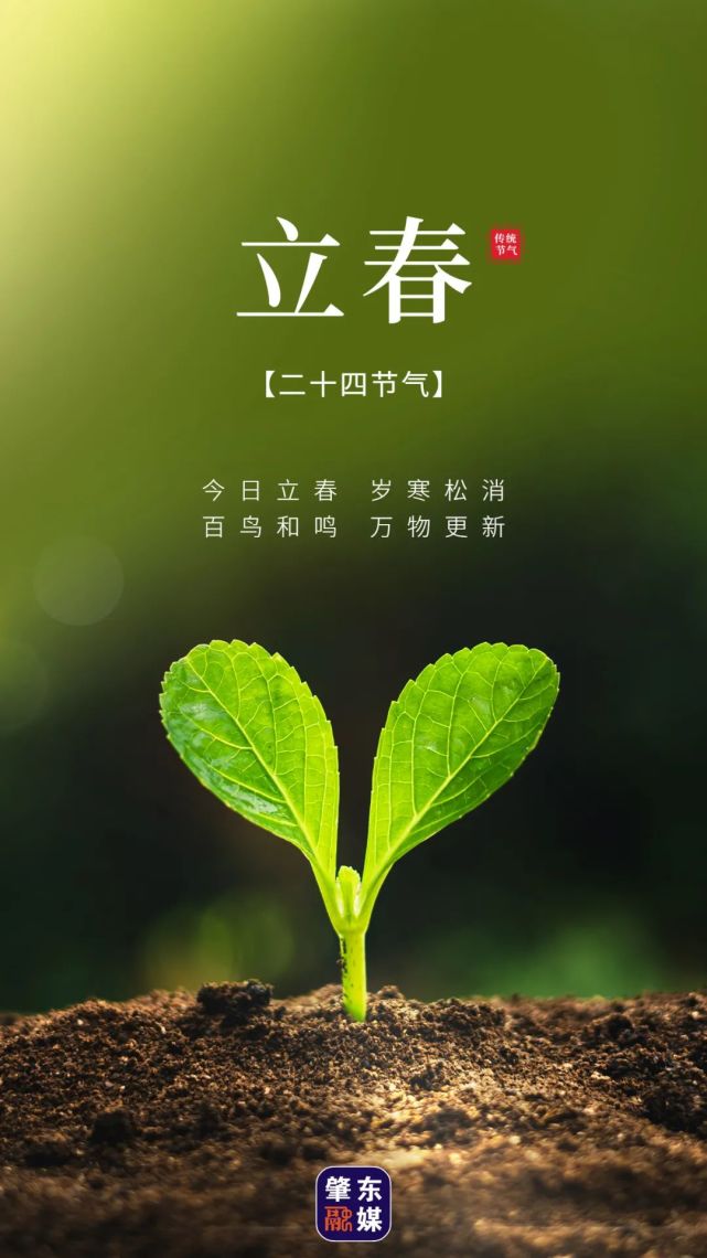 肇东融媒|今日立春