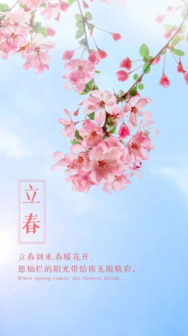 立春海报|春暖花开,万事大吉