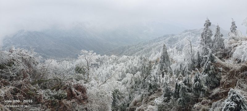 2月2日(正月初二)以来,融水苗族自治县元宝山景区雾凇雨凇景观,迎来不