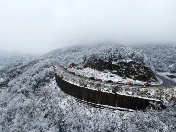 近日,东阳市下过雪,虽然市区的冰雪基本融化了,但是,由于东白山海拔高