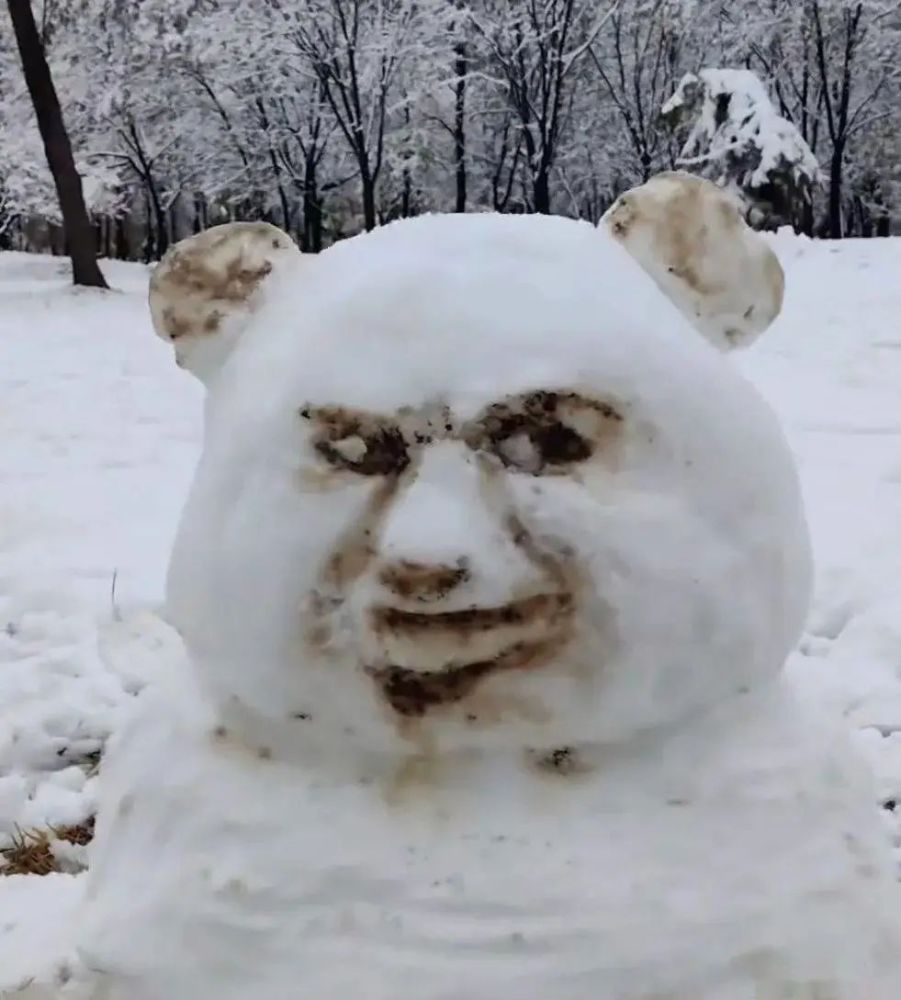 雪人可以堆的多离谱好家伙没有最丑只有更丑