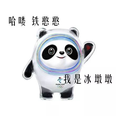 表情包|超可爱的冰墩墩表情合集