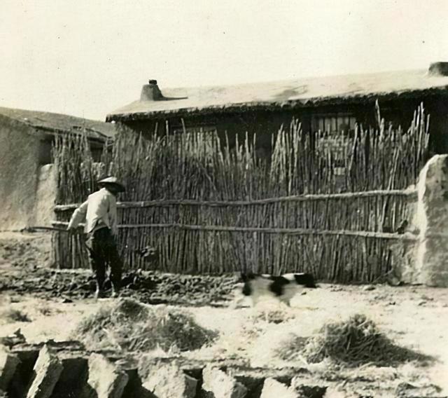 天津大邱庄土皇帝禹作敏覆灭记