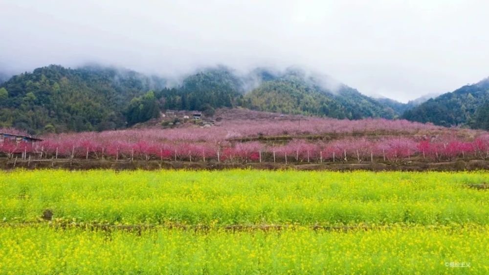 武平二日游带你赴约繁花盛会