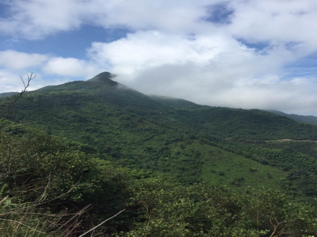 老虎坪富阳,桐庐,淳安均有虎形山.富阳区的虎形山,位于洞桥镇.