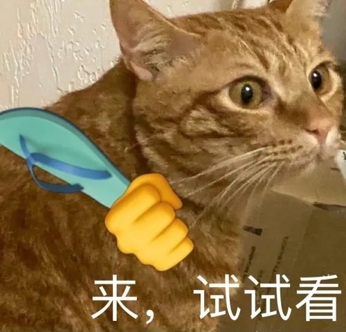 表情包橘猫表情包20期