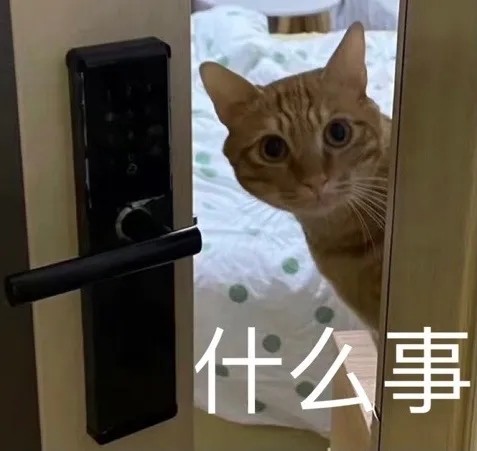 表情包橘猫表情包20期