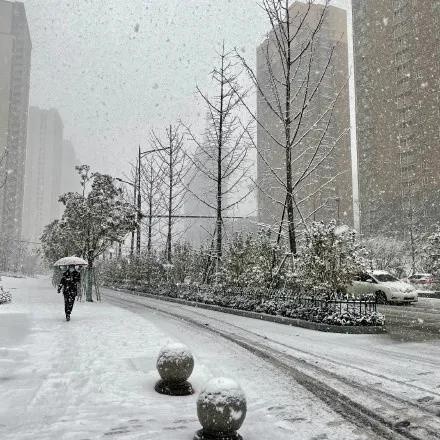 宿迁下雪了最新雪情路况汇总