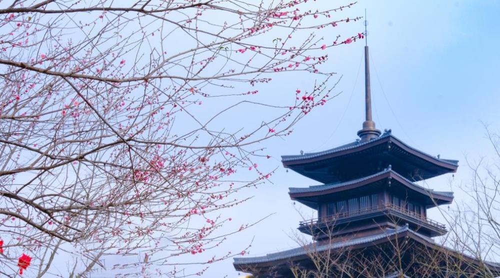 一曲黄梅调唱响问梅村黄梅东山问梅村春节期间文旅融合年味浓