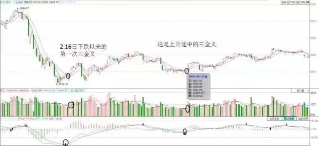 写给所有亏损中国股民的一封信股市什么时候能迎来牛市可以再次回到