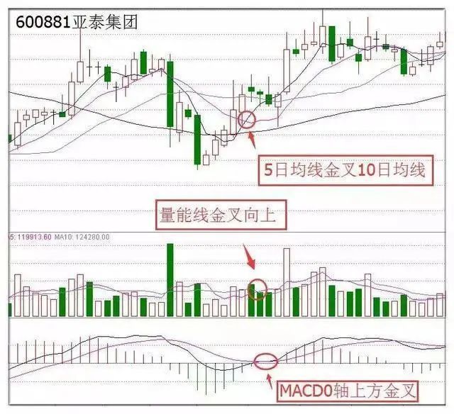 写给所有亏损中国股民的一封信股市什么时候能迎来牛市可以再次回到