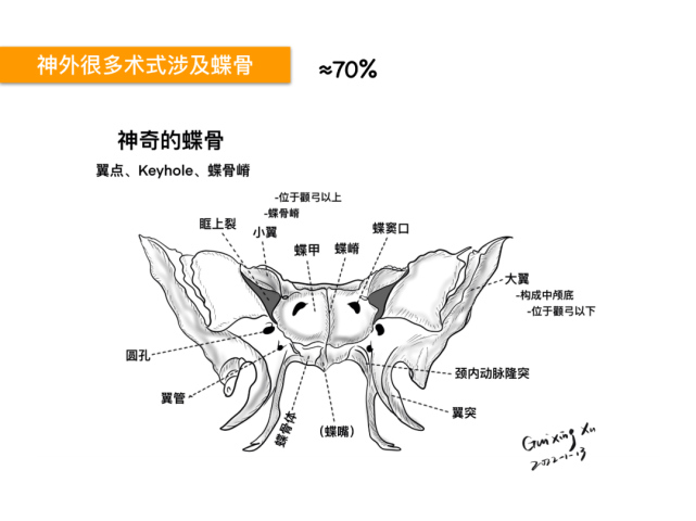 讲解鞍区的重要性,鞍区的精细解剖,鼻腔骨性结构,蝶鞍-垂体窝,蝶骨