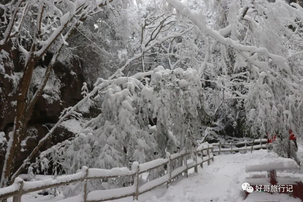 旅行摄影陕西宁强汉江源雪景太美了